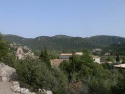 Resize of P1010158.JPG